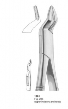  Fig. 286 upper incisors and roots 
